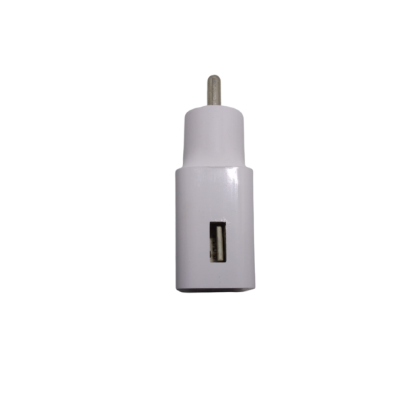 Blazify USB Charger 2.4 Amp 5.0 Voltage Charger White Color with Input of 100-240 Voltage 2